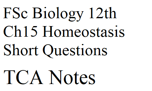 FSc Biology 12th Ch15 Homeostasis Short Questions TCA Notes