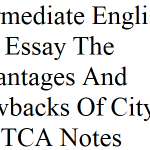 Intermediate English 12th Essay The Advantages And Drawbacks Of City Life With Quotations