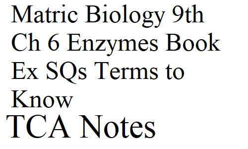 Matric Biology 9th Ch 6 Enzymes Book Ex SQs Terms to Know