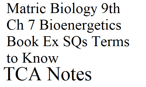 Matric Biology 9th Ch 7 Bioenergetics Book Ex SQs Terms to Know