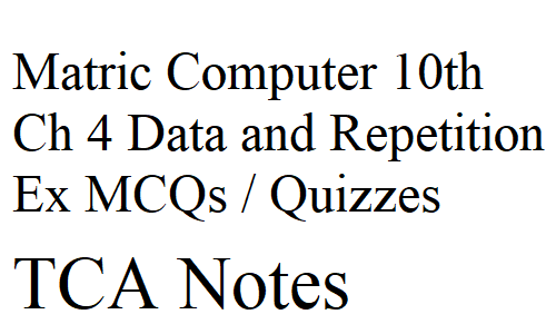 Matric Computer 10th Ch 4 Data and Repetition Ex MCQs / Quizzes
