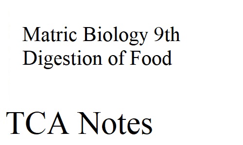 Matric Biology 9th Digestion of Food