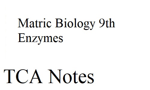 Matric Biology 9th Enzymes