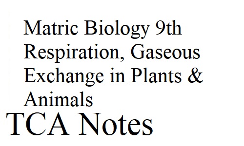 Matric Biology 9th Respiration, Gaseous Exchange in Plants & Animals