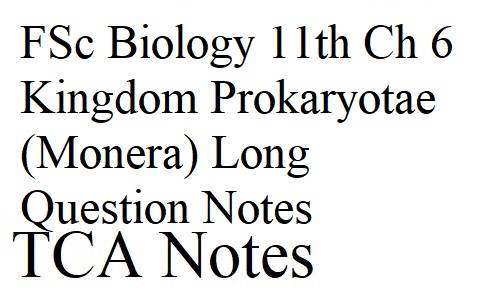 FSc Biology 11th Ch 6 Kingdom Prokaryotae (Monera) Long Question Notes