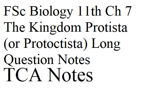 FSc Biology 11th Ch 7 The Kingdom Protista (or Protoctista) Long Question Notes