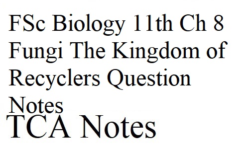 FSc Biology 11th Ch 8 Fungi The Kingdom of Recyclers Question Notes