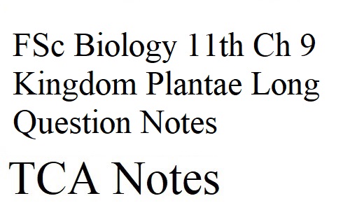 FSc Biology 11th Ch 9 Kingdom Plantae Long Question Notes