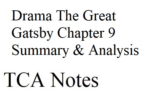 Drama The Great Gatsby Chapter 9 Summary & Analysis